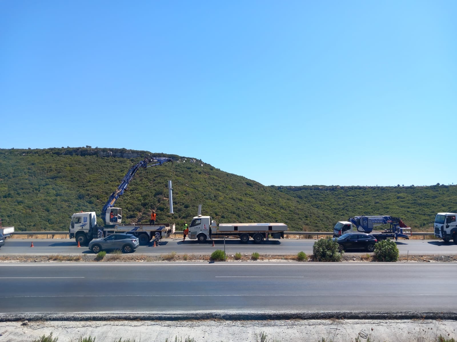 Didim'de Sepetli Vinçle Budama ve Peyzaj İşleri